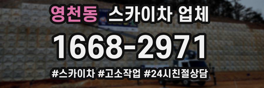 영천동 스카이차 업체