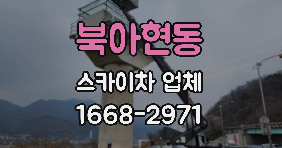 북아현동 스카이차 업체