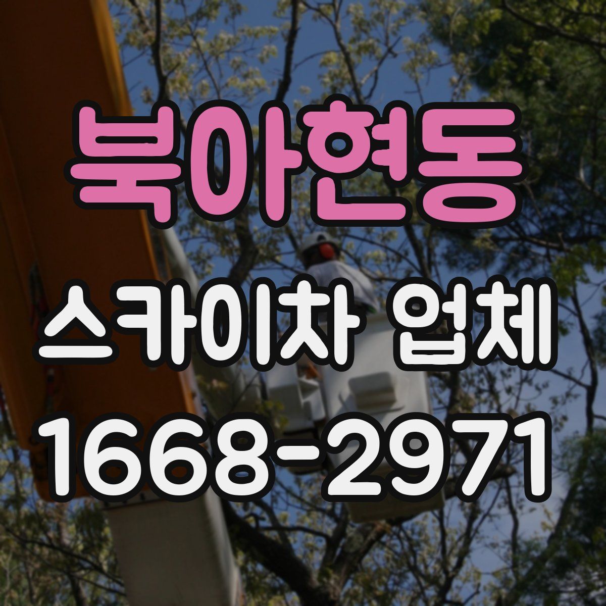 북아현동 스카이차 업체