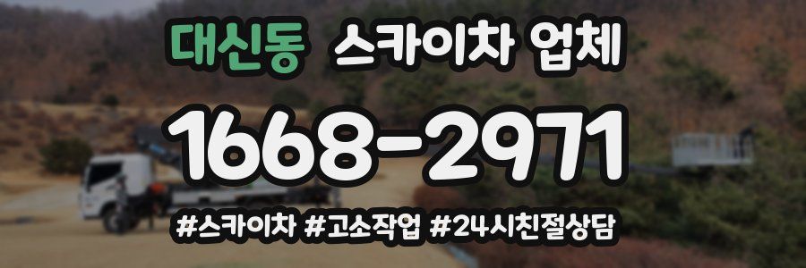 대신동 스카이차 업체
