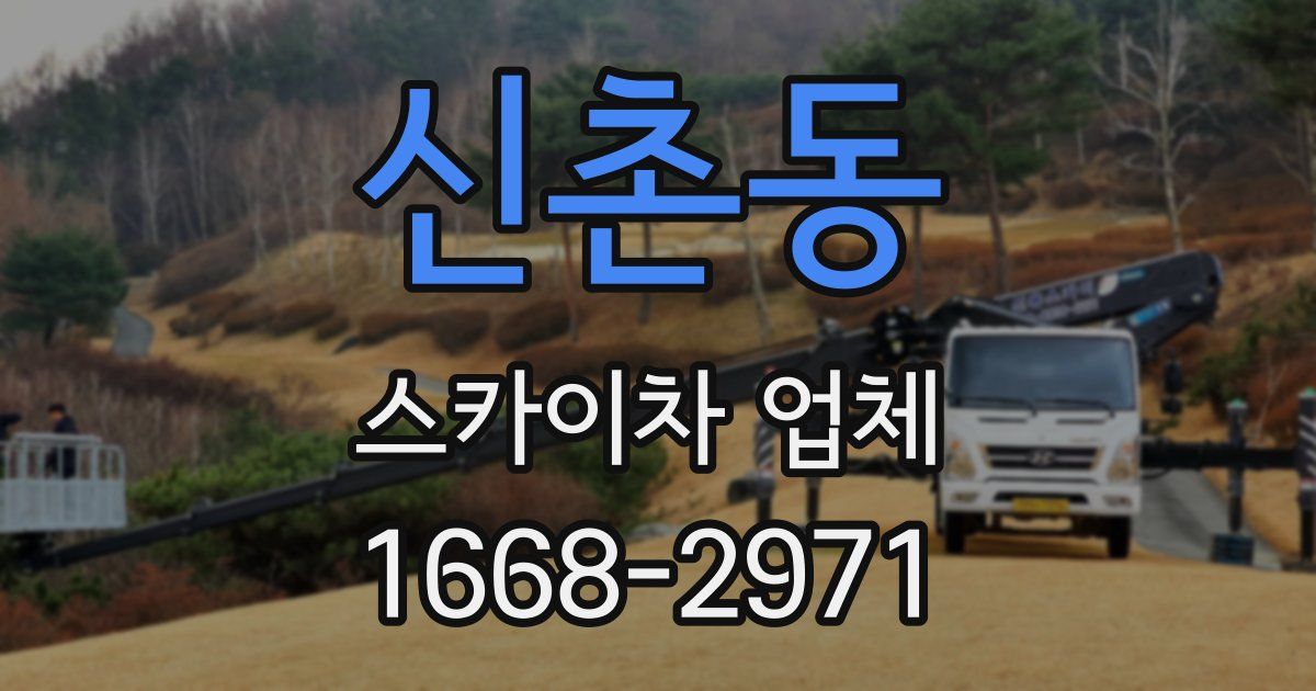 신촌동 스카이차 업체