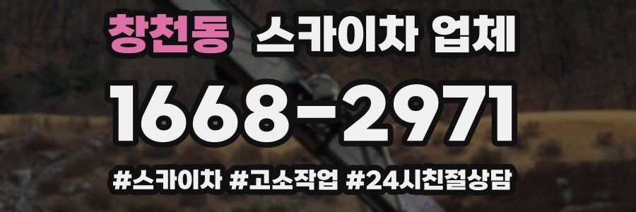 창천동 스카이차 업체
