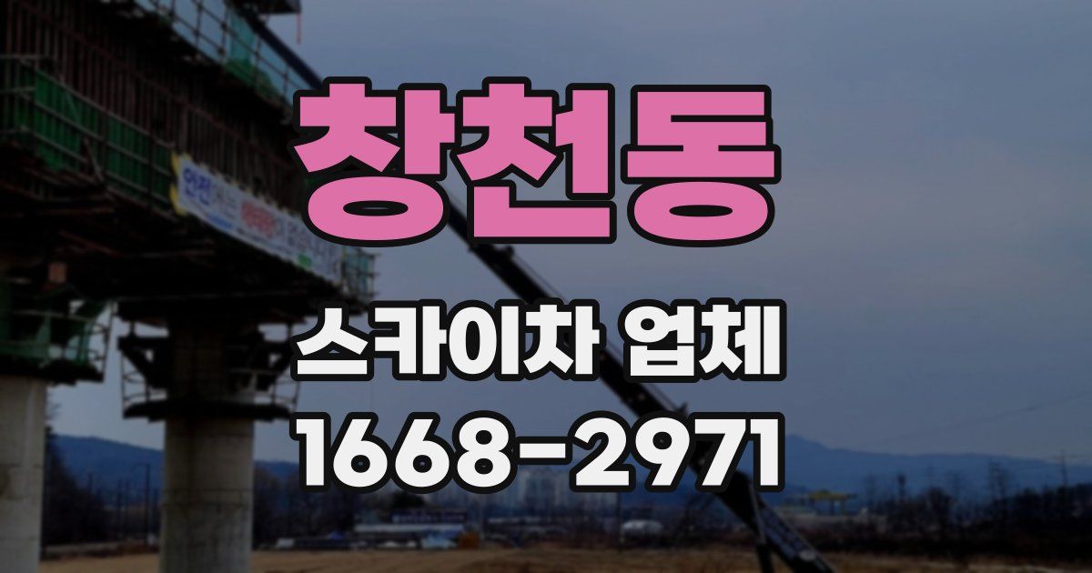 창천동 스카이차 업체