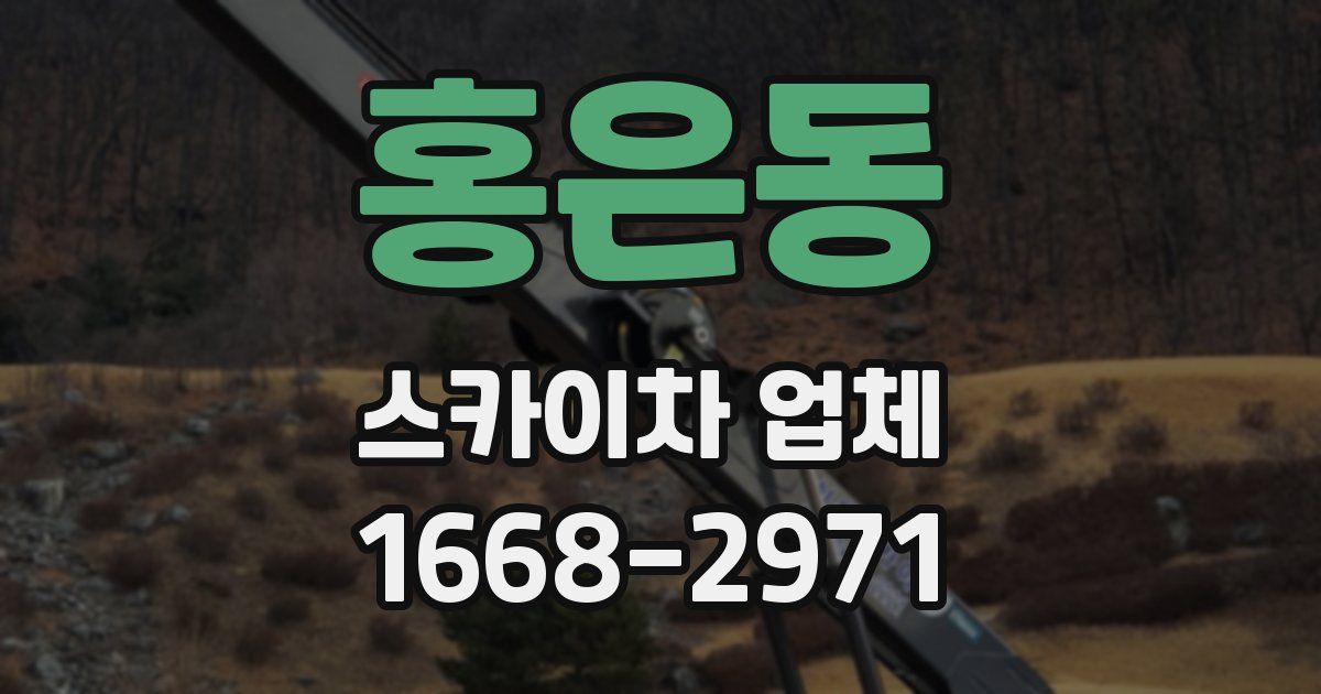 홍은동 스카이차 업체