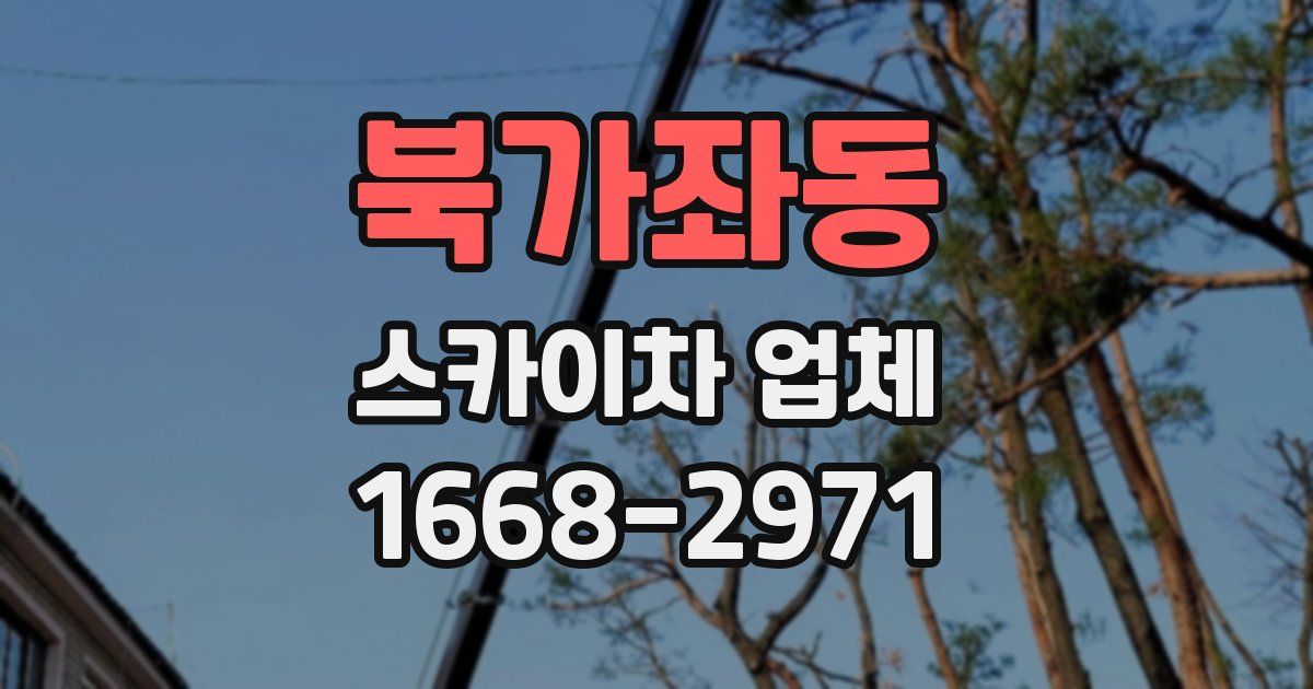 북가좌동 스카이차 업체