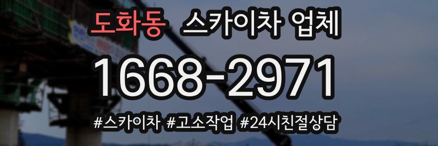 도화동 스카이차 업체