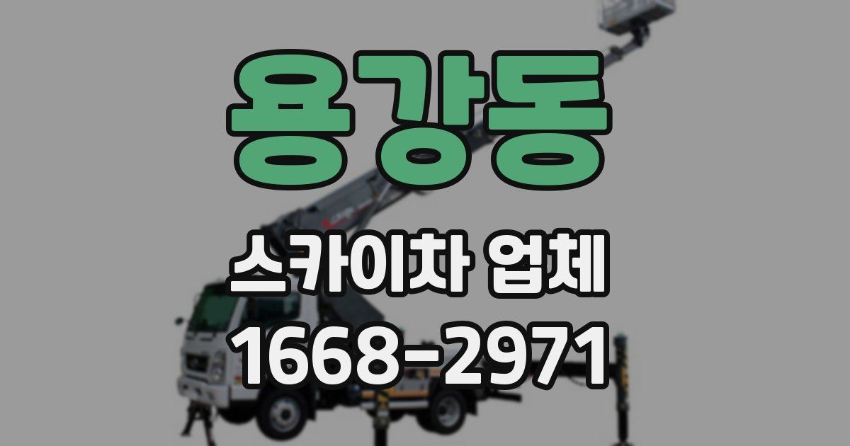 용강동 스카이차 업체