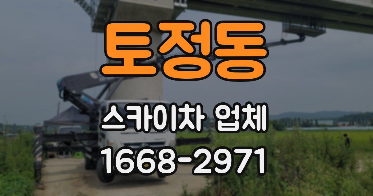 토정동 스카이차 업체