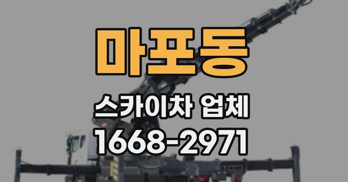 마포동 스카이차 업체
