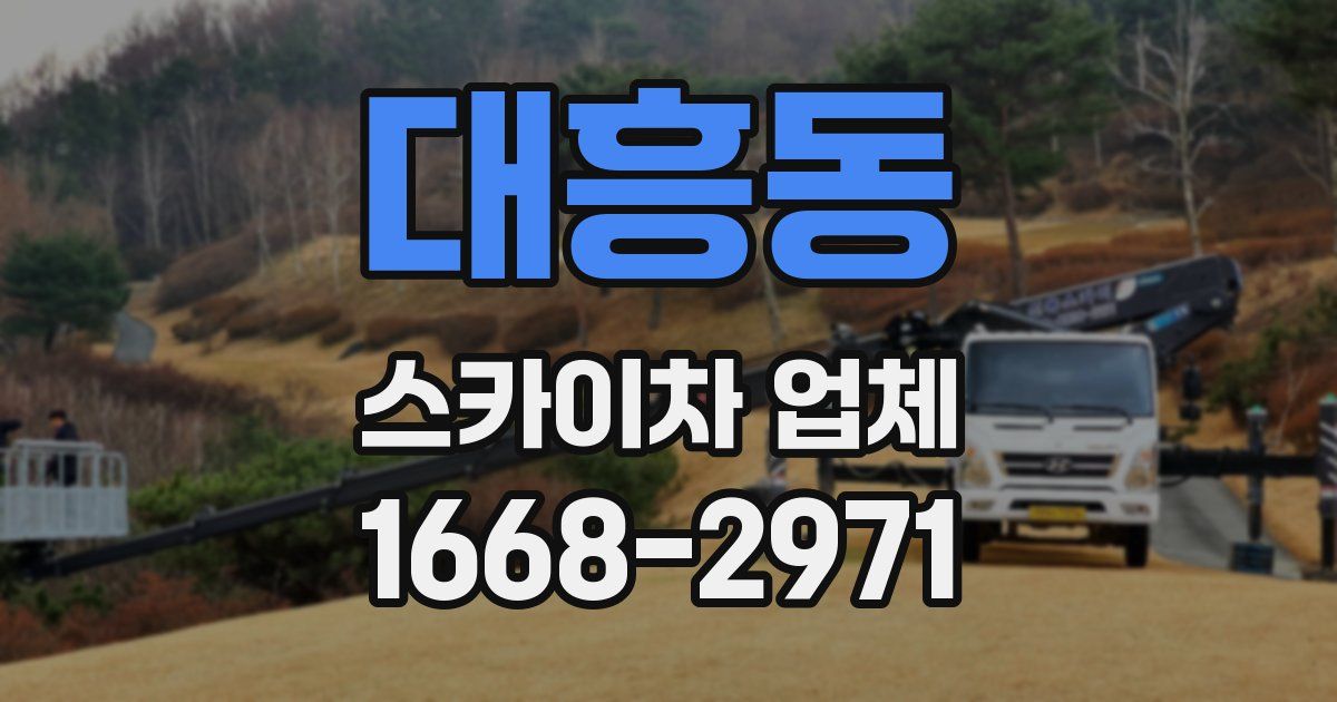대흥동 스카이차 업체