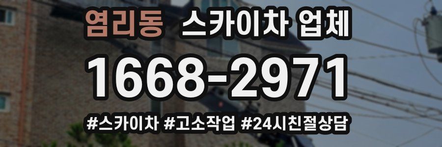 염리동 스카이차 업체