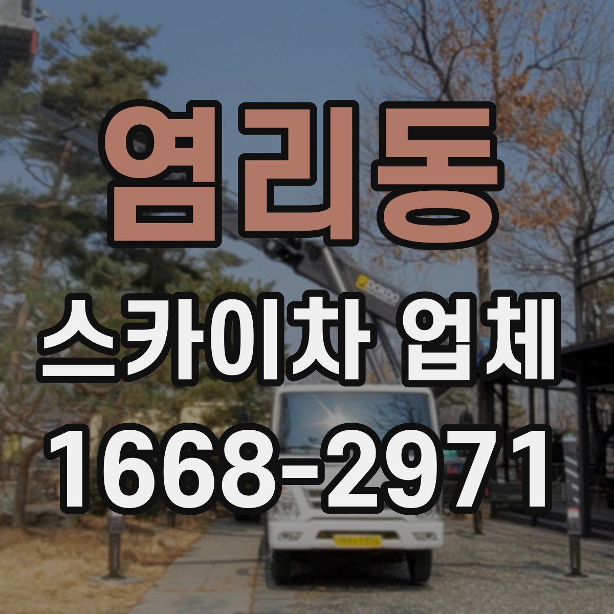 염리동 스카이차 업체
