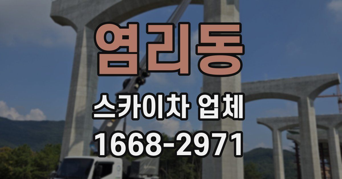 염리동 스카이차 업체