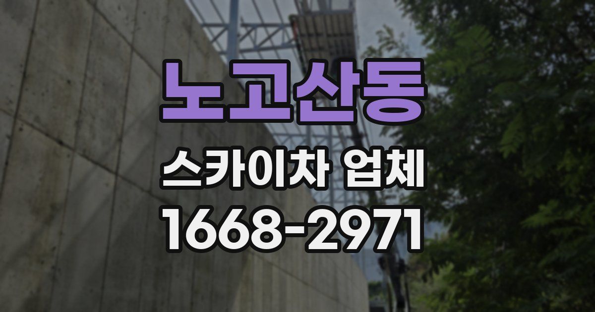 노고산동 스카이차 업체