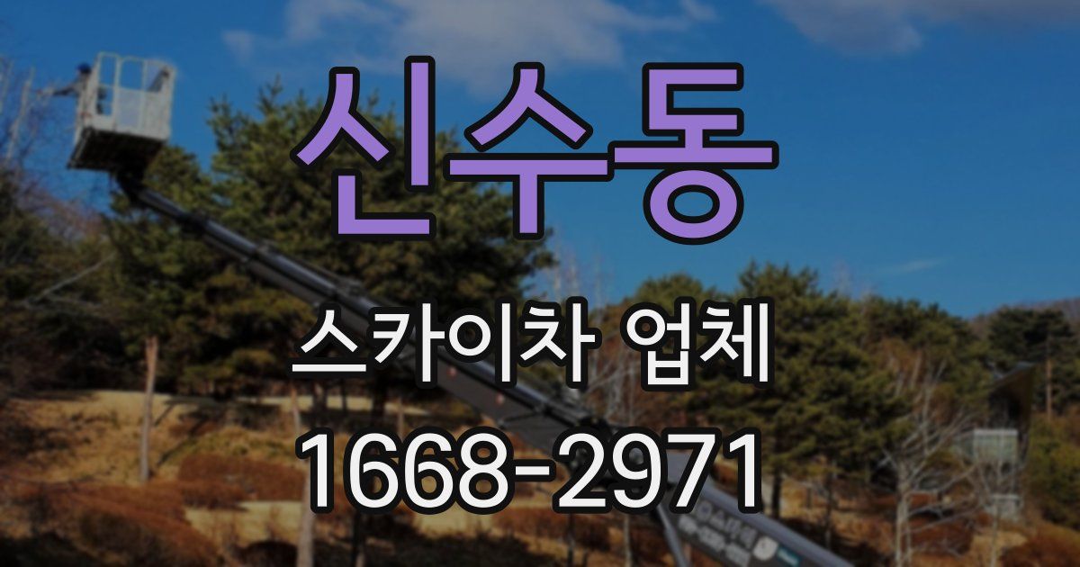 신수동 스카이차 업체