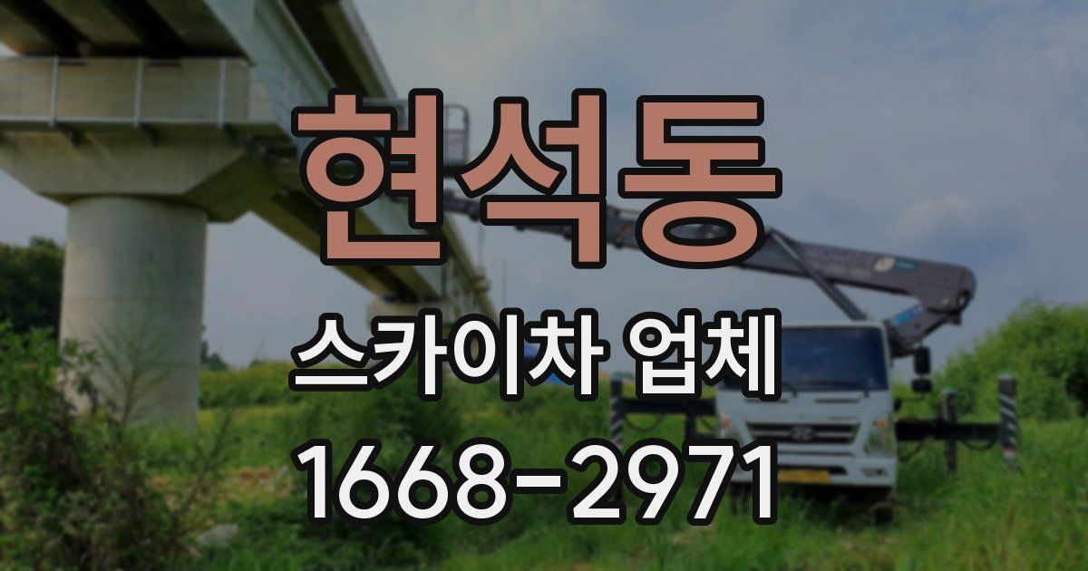 현석동 스카이차 업체