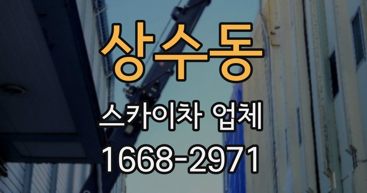 상수동 스카이차 업체