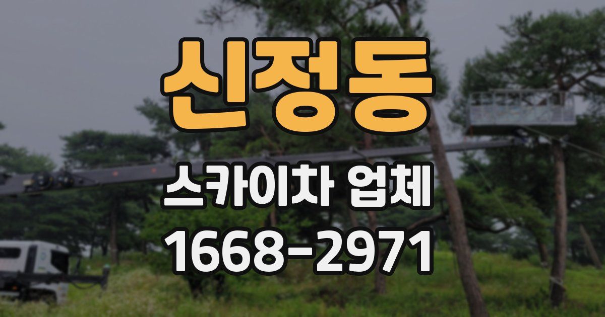 신정동 스카이차 업체