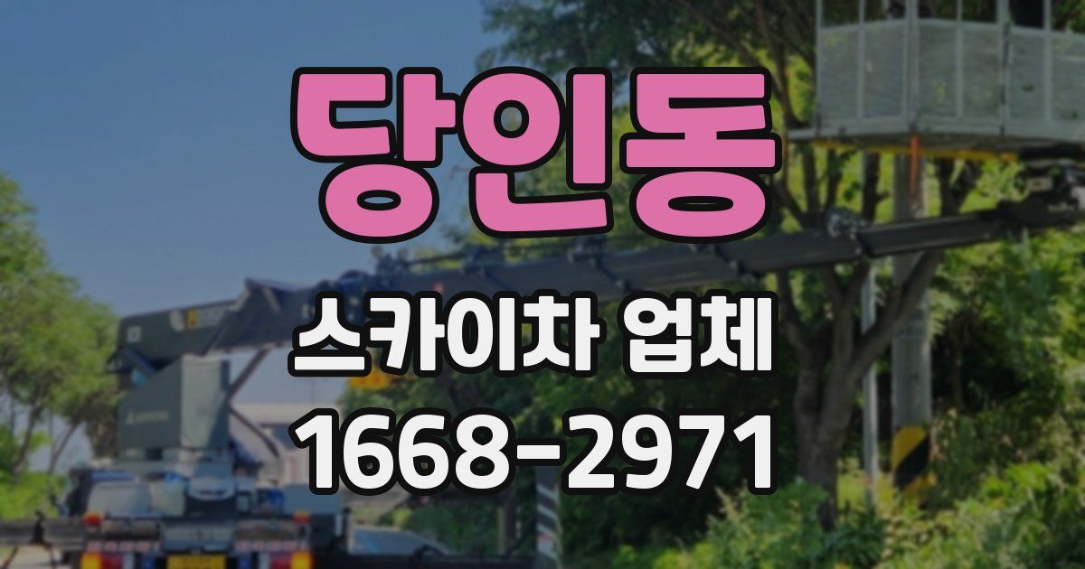 당인동 스카이차 업체