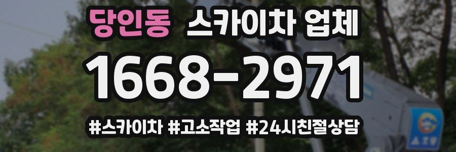 당인동 스카이차 업체