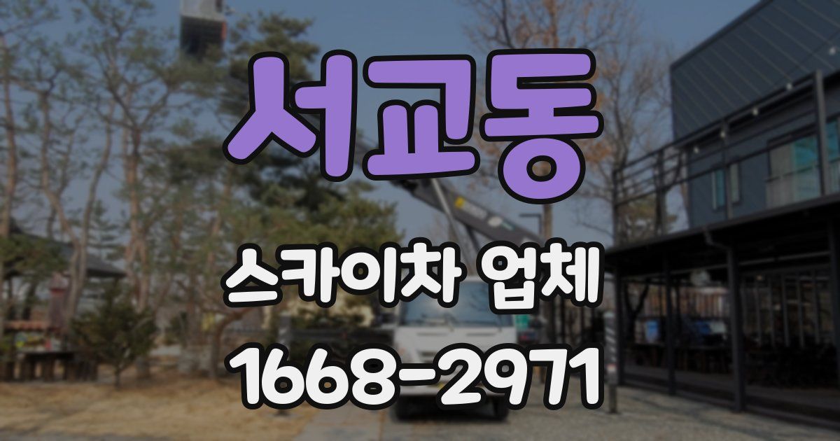 서교동 스카이차 업체