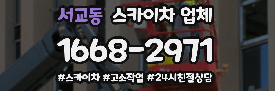 서교동 스카이차 업체