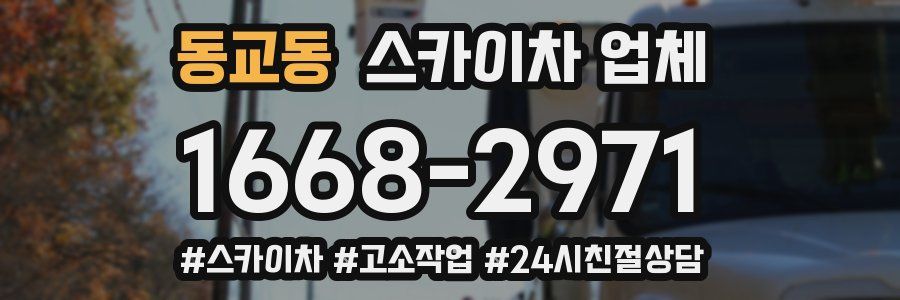 동교동 스카이차 업체
