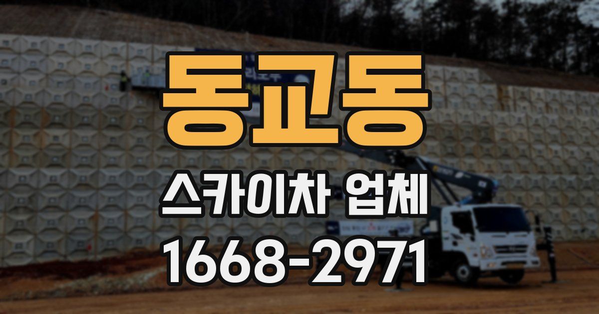 동교동 스카이차 업체