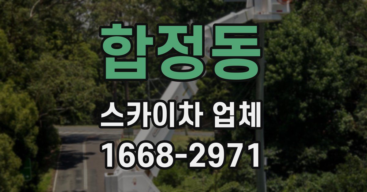 합정동 스카이차 업체