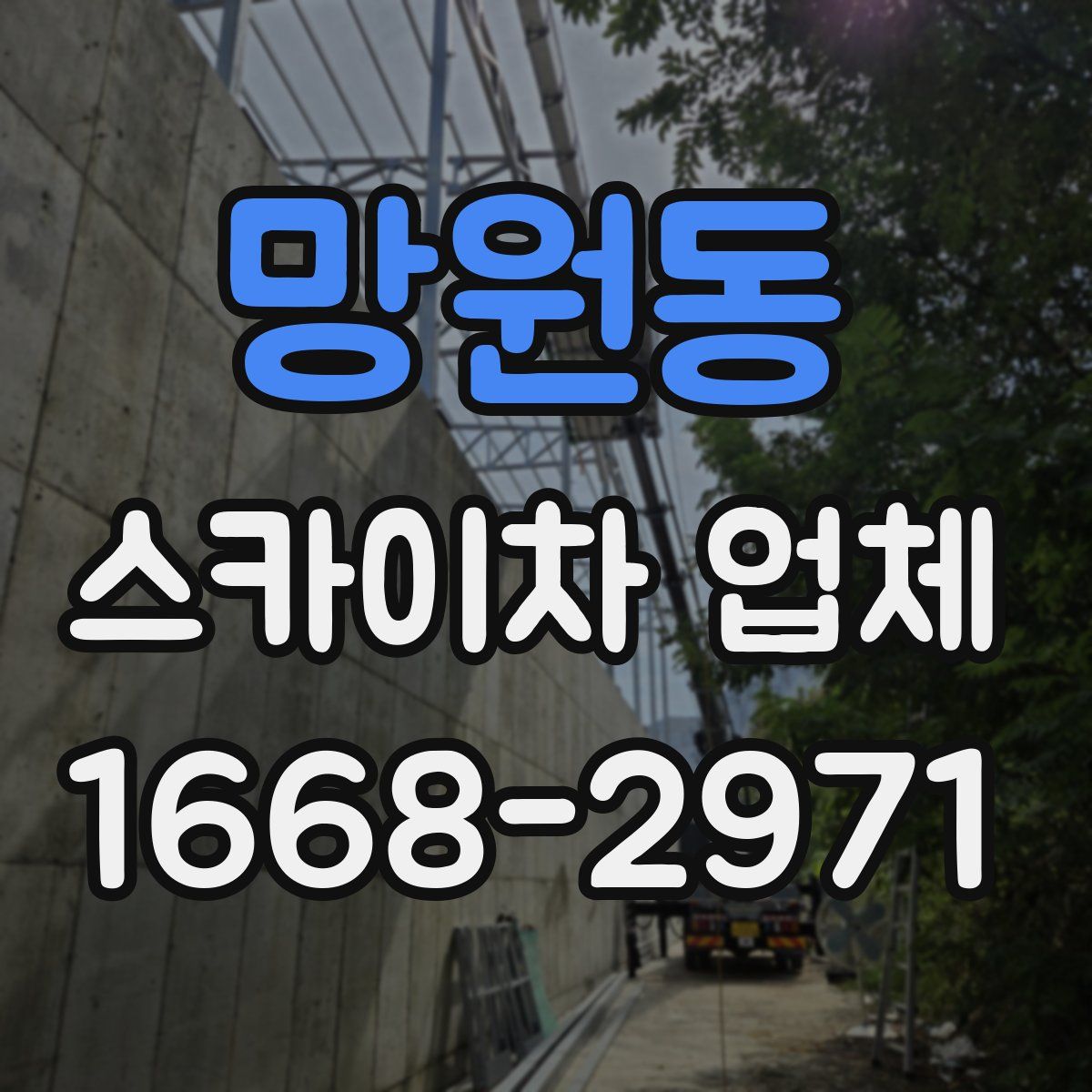 망원동 스카이차 업체