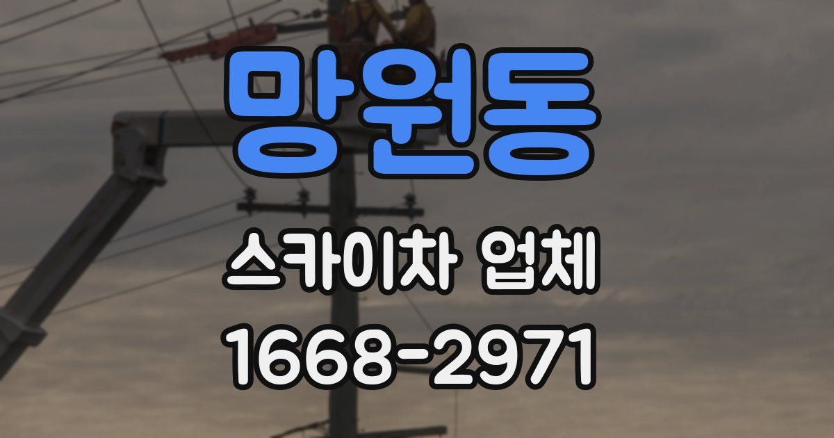 망원동 스카이차 업체