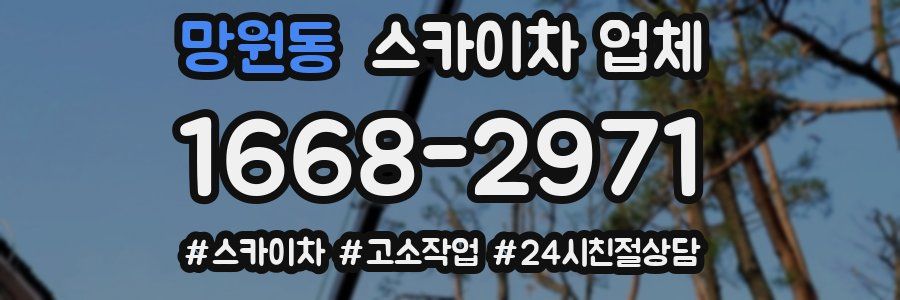 망원동 스카이차 업체
