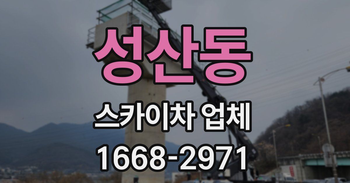 성산동 스카이차 업체