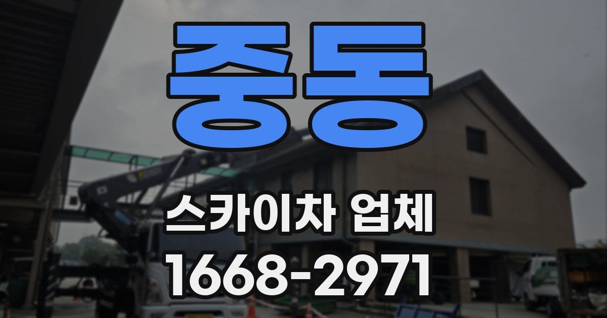 중동 스카이차 업체