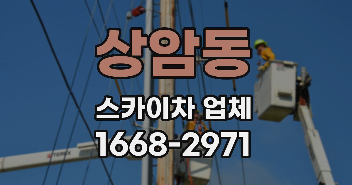 상암동 스카이차 업체
