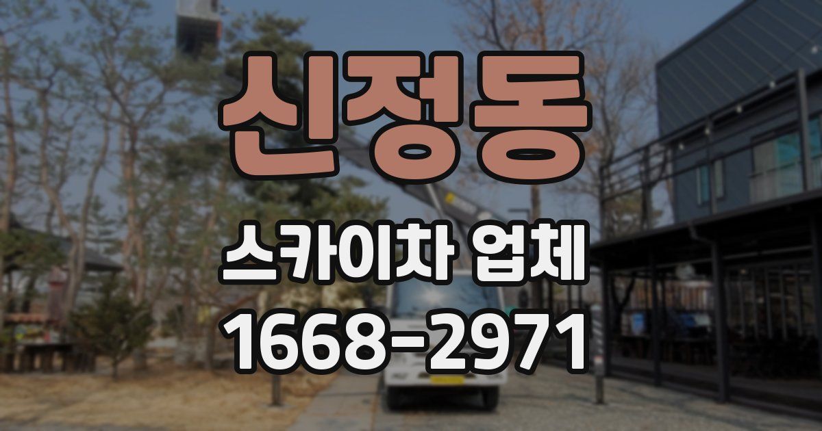 신정동 스카이차 업체