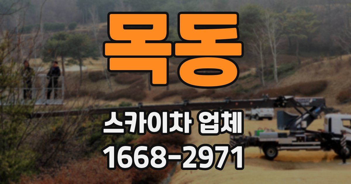 목동 스카이차 업체
