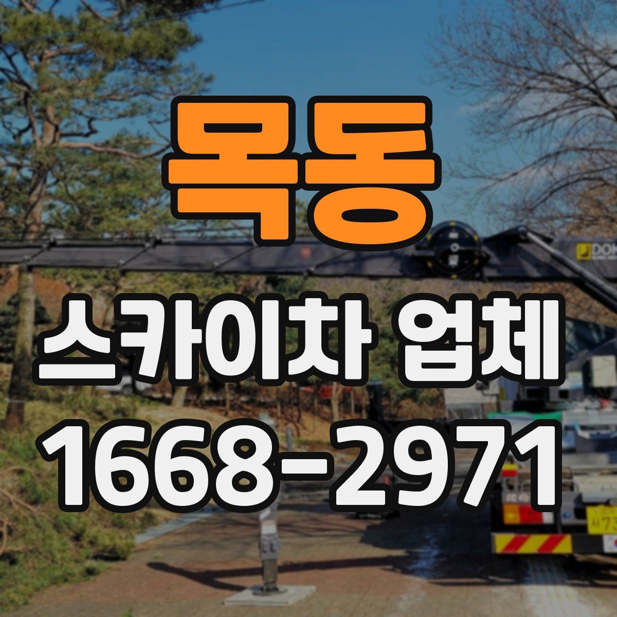 목동 스카이차 업체