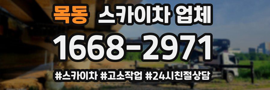 목동 스카이차 업체