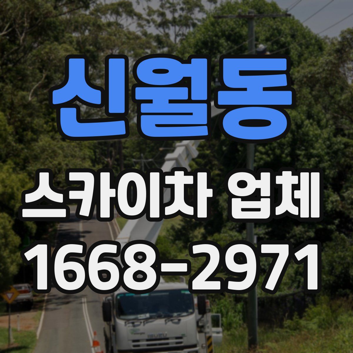 신월동 스카이차 업체