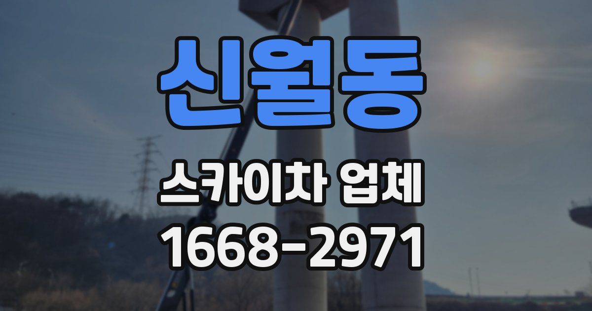신월동 스카이차 업체