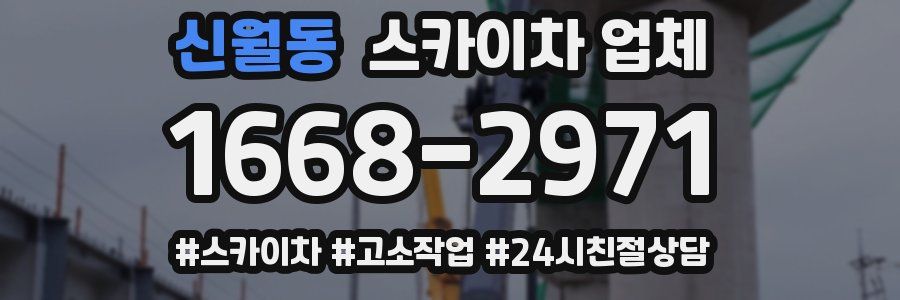 신월동 스카이차 업체