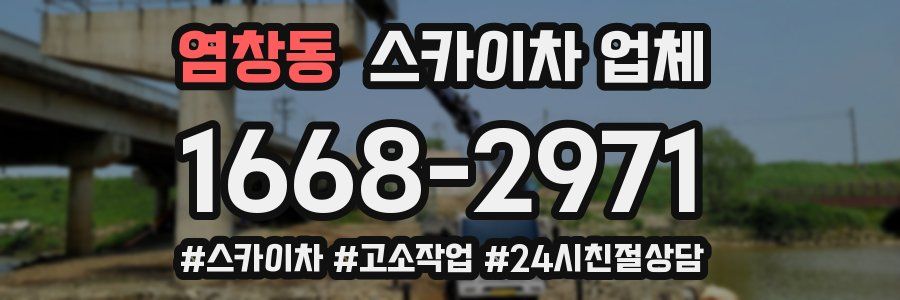 염창동 스카이차 업체