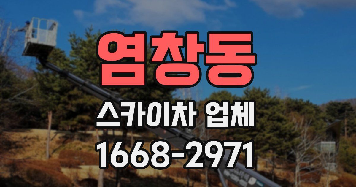 염창동 스카이차 업체