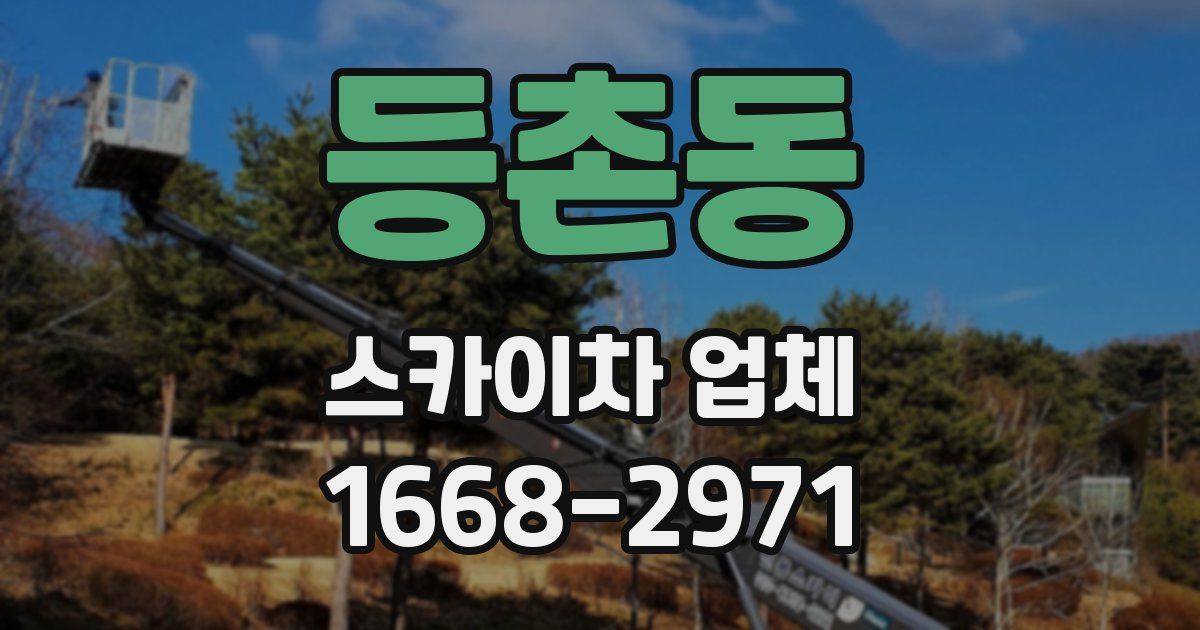 등촌동 스카이차 업체