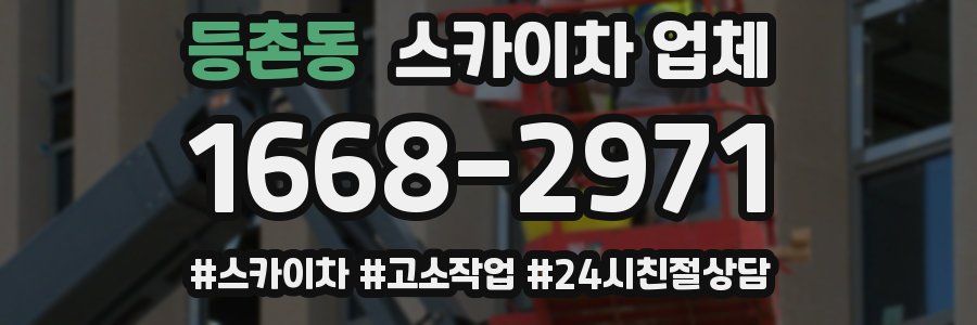 등촌동 스카이차 업체