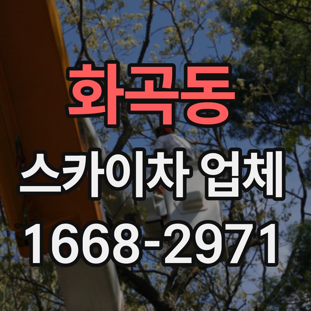 화곡동 스카이차 업체