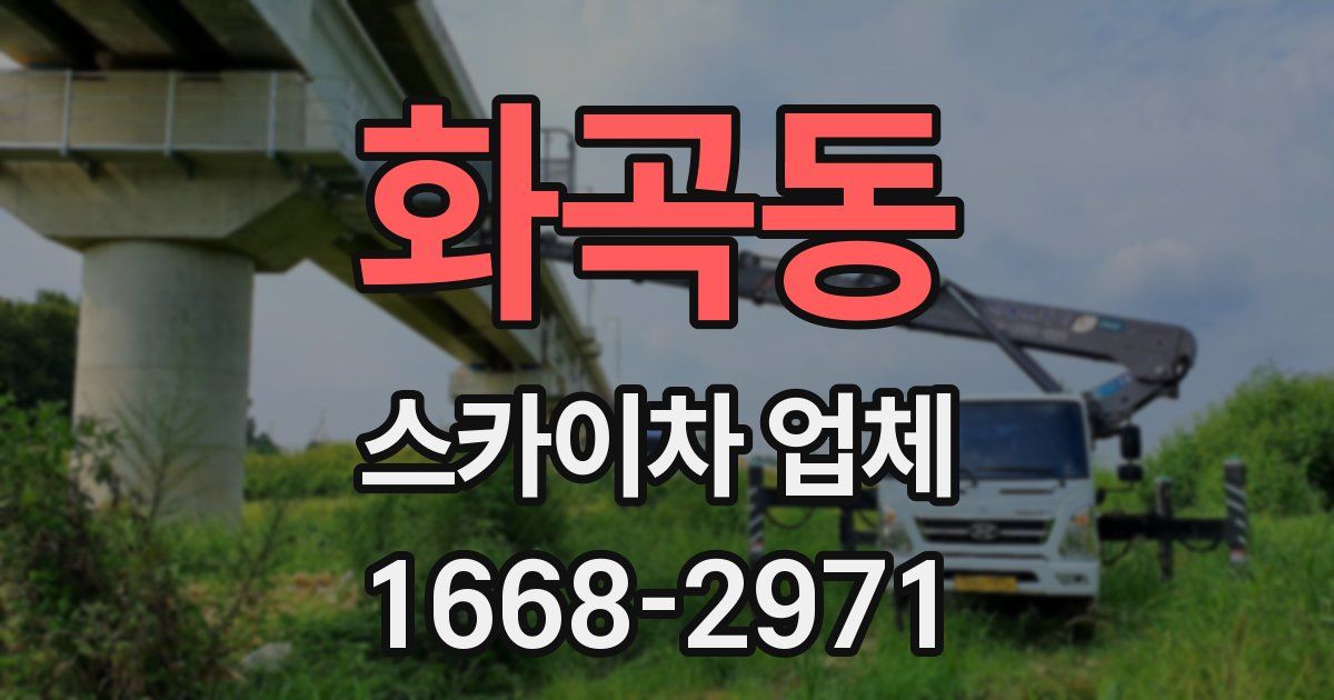 화곡동 스카이차 업체