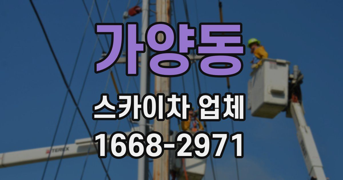 가양동 스카이차 업체