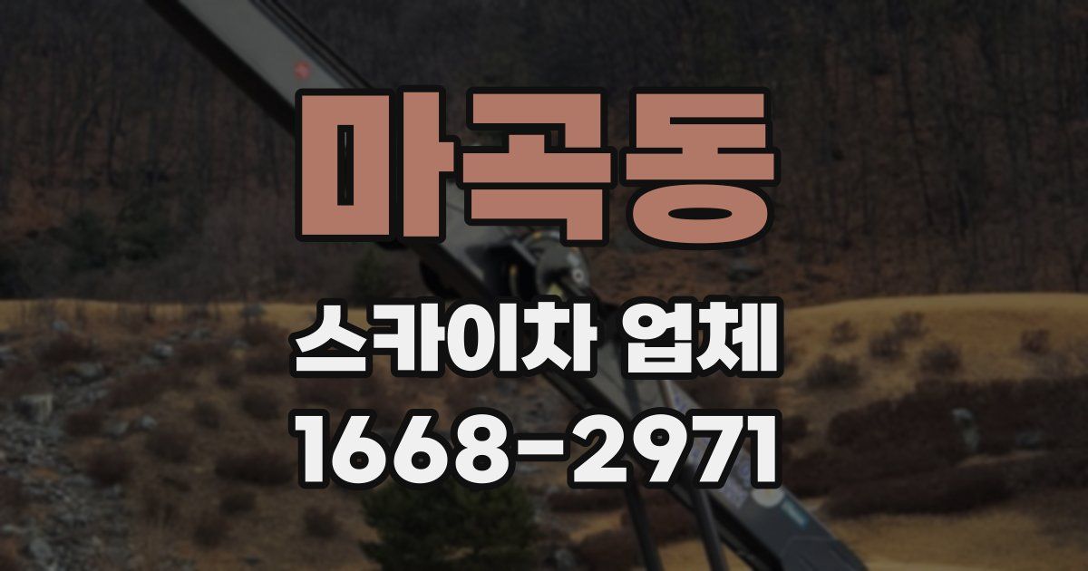 마곡동 스카이차 업체